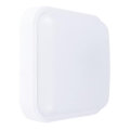 LED Vanjska zidna svjetiljka LED/20W/230V IP54 