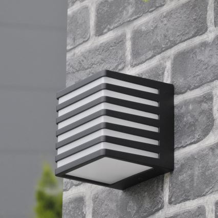 LED Vanjska zidna svjetiljka MAXWELL LED/10W/230V IP54 grafit