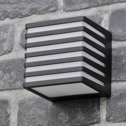 LED Vanjska zidna svjetiljka MAXWELL LED/10W/230V IP54 grafit
