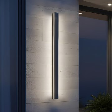 LED Vanjska zidna svjetiljka MIRANA LED/25W/230V 4000K IP44 120 cm crna