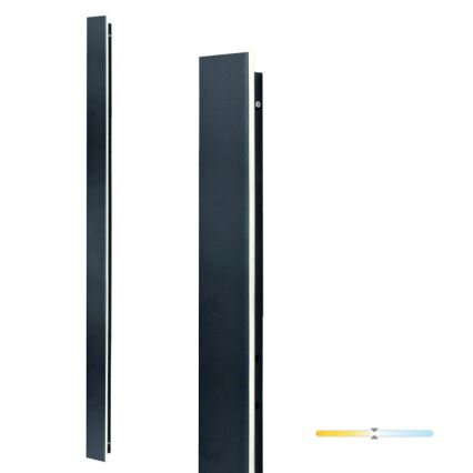 LED Vanjska zidna svjetiljka MIRANA LED/25W/230V 4000K IP44 120 cm crna