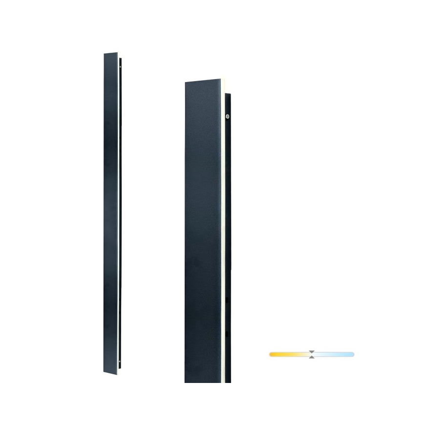 LED Vanjska zidna svjetiljka MIRANA LED/25W/230V 4000K IP44 120 cm crna