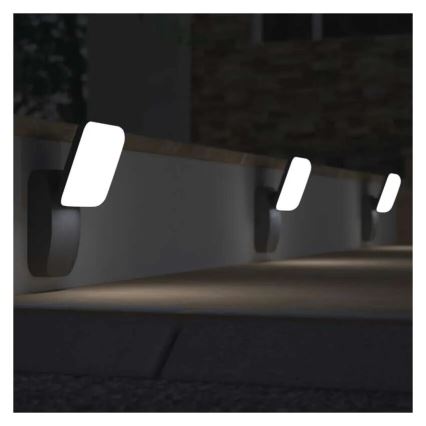 LED Vanjska zidna svjetiljka NIKA LED/12,5W/230V IP44