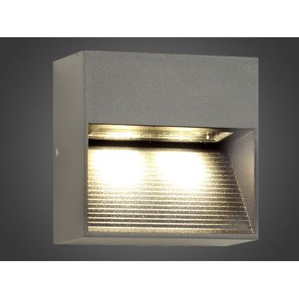 LED Vanjska zidna svjetiljka NINION LED/2W/230V IP54