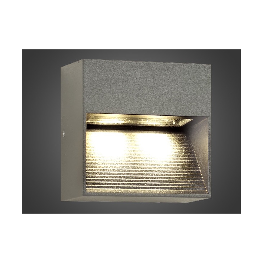 LED Vanjska zidna svjetiljka NINION LED/2W/230V IP54