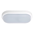 LED Vanjska zidna svjetiljka OVAL LED/18W/230V IP54