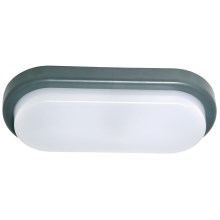 LED Vanjska zidna svjetiljka OVAL LED/18W/230V IP54