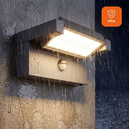 LED vanjsko zidno svjetlo sa senzorom pokreta i sumraka LED/25W/230V 3000/4000/6500K IP54 crna