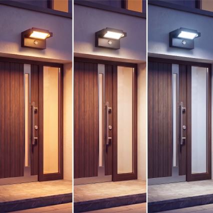 LED vanjsko zidno svjetlo sa senzorom pokreta i sumraka LED/25W/230V 3000/4000/6500K IP54 crna
