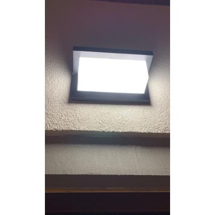 LED Vanjska zidna svjetiljka sa senzorom LED/12W/230V IP54 crna