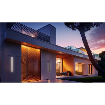 LED Vanjska zidna svjetiljka STICK LED/12W/230V IP65 3000K 30 cm