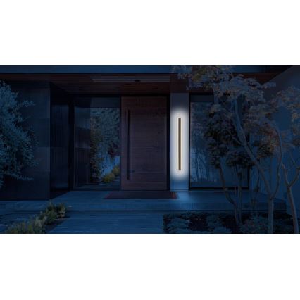 LED Vanjska zidna svjetiljka STICK LED/12W/230V IP65 3000K 60 cm
