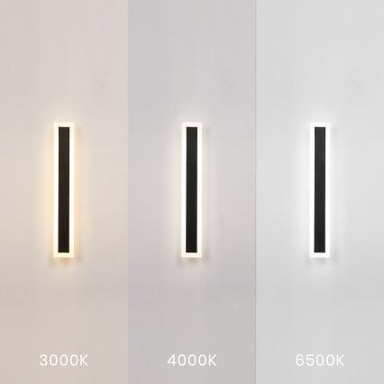 LED vanjska zidna svjetiljka WOW LED/20W/230V 3000/4000/6500K 60 cm IP54 crna