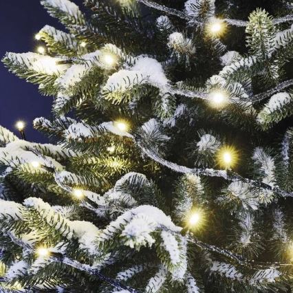 LED Vanjske božićne lampice 100xLED/10m IP44 topla bijela