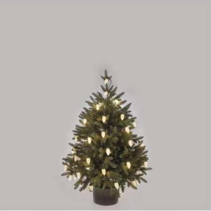 LED Vanjske božićne lampice 50xLED/8 funkcija 14,8 m IP44 topla bijela