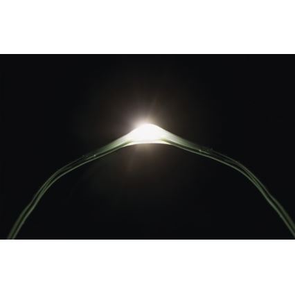 LED Vanjski božićni lanac 40xLED 9m IP44 hladna bijela