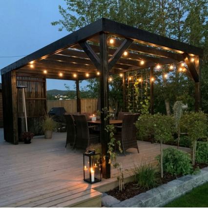 LED vanjski dekorativni niz 20xE27/1W/230V 11,44 m IP44 crna