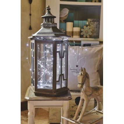 LED vanjski lanac 100xLED/15m IP44 hladno bijela