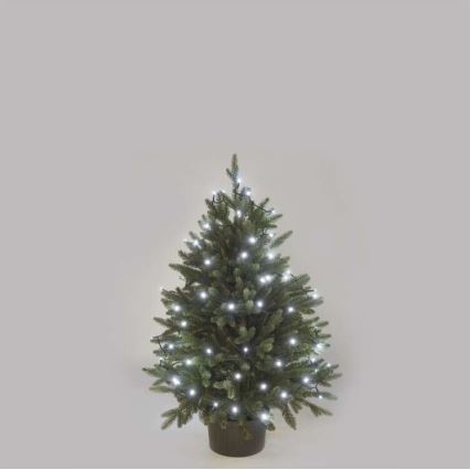 LED vanjski lanac 40xLED/9m IP44 hladno bijela
