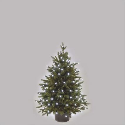 LED vanjski lanac 80xLED/8 funkcija 13 m hladno bijela IP44