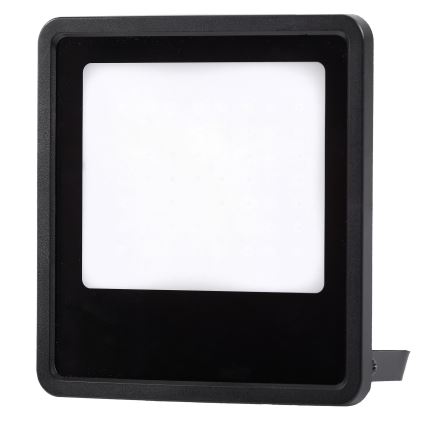 LED Vanjski reflektor LED/100W/230V 4000K IP65 crna