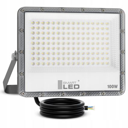 LED vanjski reflektor LED/100W/230V 4500K IP65 siva