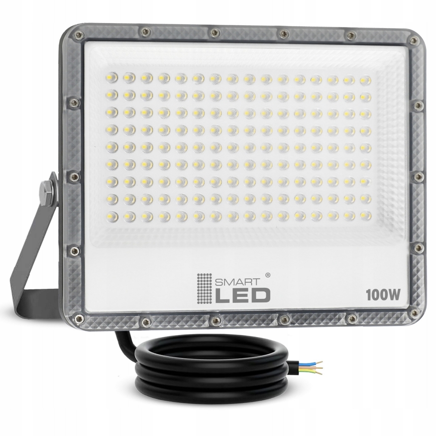 LED vanjski reflektor LED/100W/230V 4500K IP65 siva