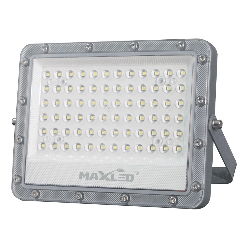LED Vanjski reflektor LED/100W/230V 5000K IP65 siva