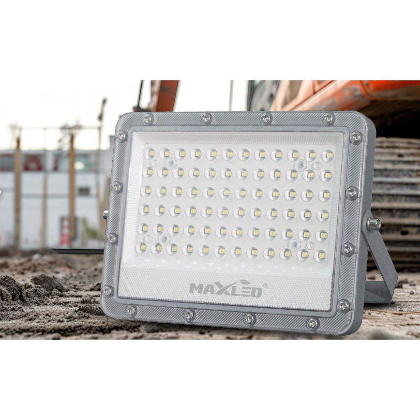 LED Vanjski reflektor LED/100W/230V 5000K IP65 siva