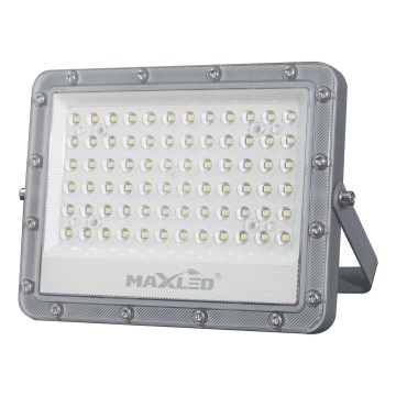 LED Vanjski reflektor LED/150W/230V 5000K IP65 siva