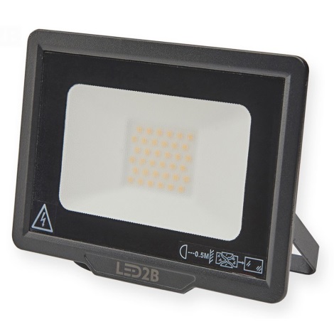 LED Vanjski reflektor LED/30W/230V 6500K IP65