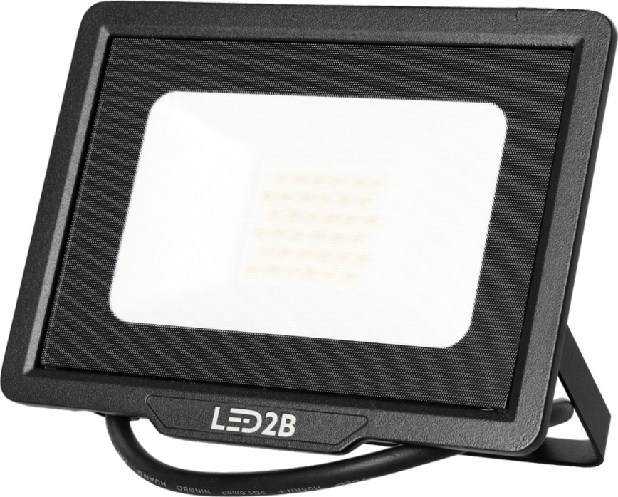 LED Vanjski reflektor LED/30W/230V 6500K IP65