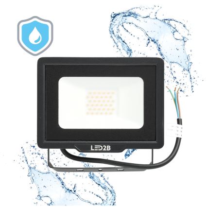 LED Vanjski reflektor LED/30W/230V 6500K IP65