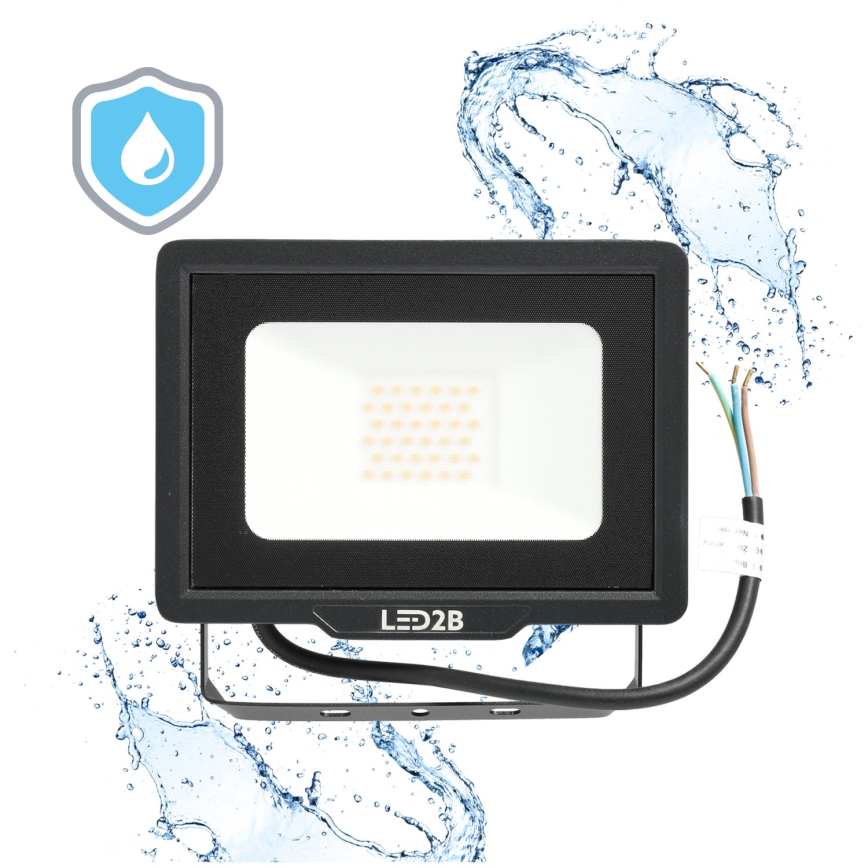 LED Vanjski reflektor LED/30W/230V 6500K IP65