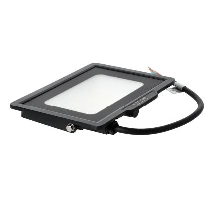 LED Vanjski reflektor LED/30W/230V 6500K IP65