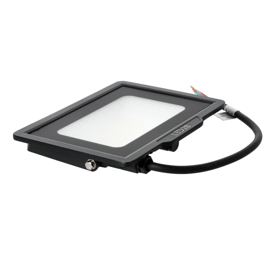 LED Vanjski reflektor LED/30W/230V 6500K IP65
