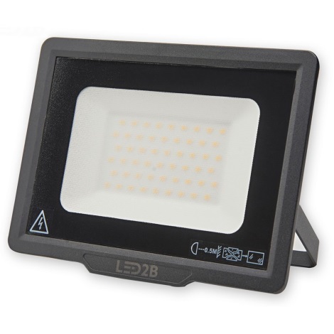 LED Vanjski reflektor LED/50W/230V 6500K IP65