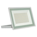 LED Vanjski reflektor NOCTIS LUX 3 LED/100W/230V 4000K IP65 bijela