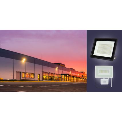 LED Vanjski reflektor NOCTIS LUX 3 LED/100W/230V 4000K IP65 bijela