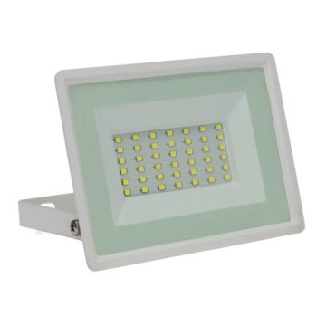 LED Vanjski reflektor NOCTIS LUX 3 LED/30W/230V 3000K IP65 bijela