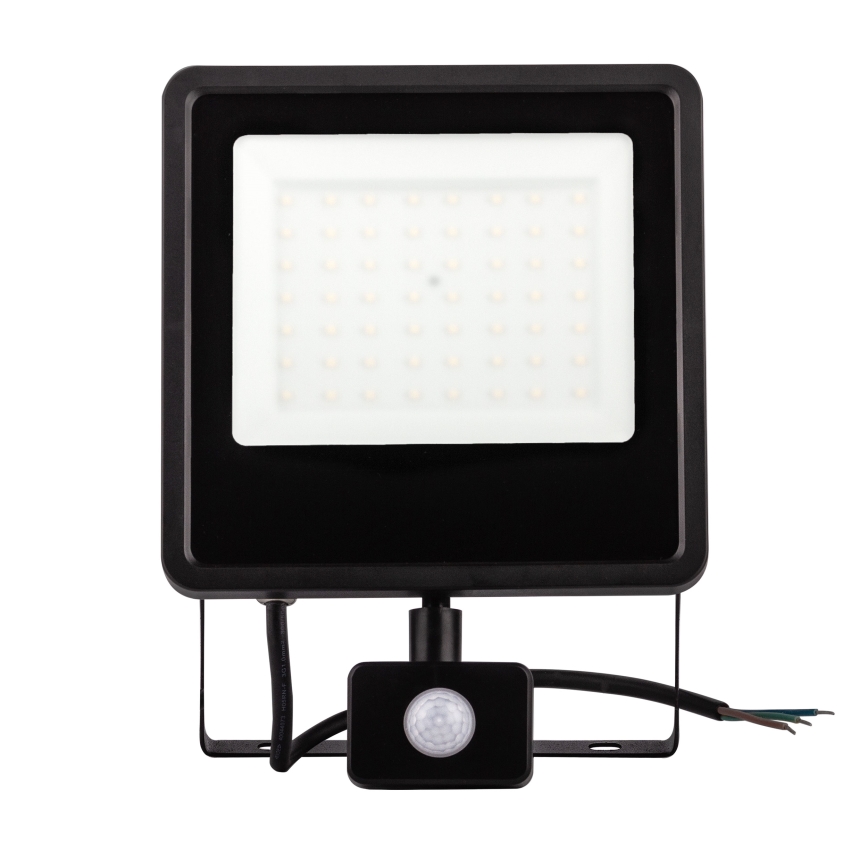 LED Vanjski reflektor sa senzorom LED/30W/230V 4000K IP65 crna