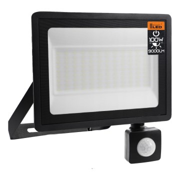 LED vanjski reflektor sa senzorom pokreta i sumraka, LED/100W/230V, 4500K, IP65, crni