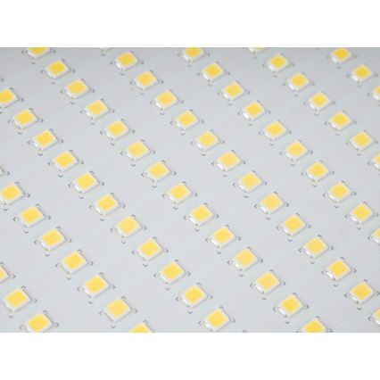 LED vanjski reflektor STAR LED/150W/230V IP65 5000K