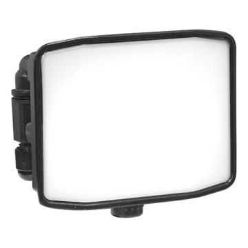 LED Vanjski reflektor ZIPO LED/10W/230V 5000K IP65 crna