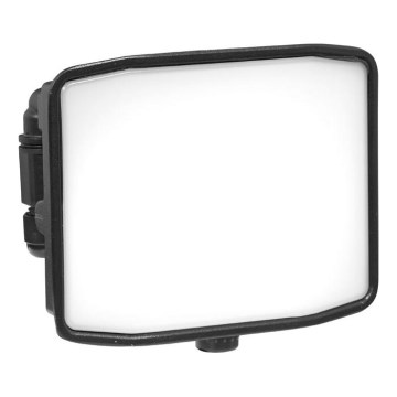 LED Vanjski reflektor ZIPO LED/30W/230V 5000K IP65 crna