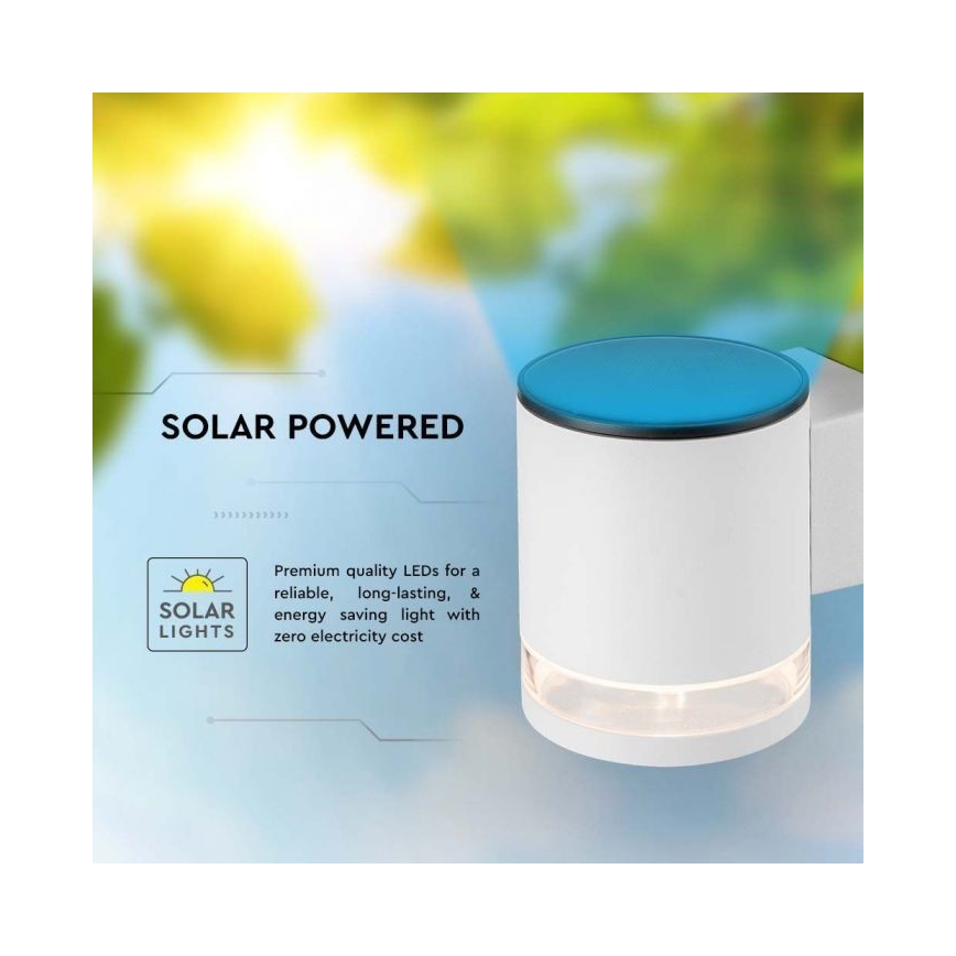 LED Vanjski solarna zidna svjetiljka LED/1W/3,7V 3000K IP54 bijela