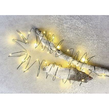 LED vanjski svjetlosni niz 40xLED/9m IP44 topla bijela