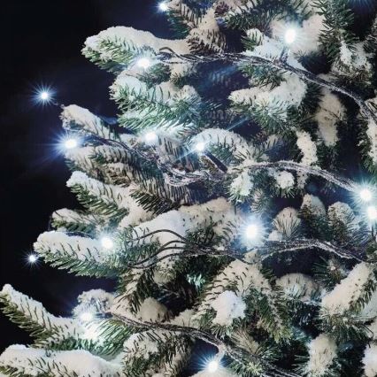 LED vanjski svjetlosni niz 50xLED/5m IP44 hladno bijela