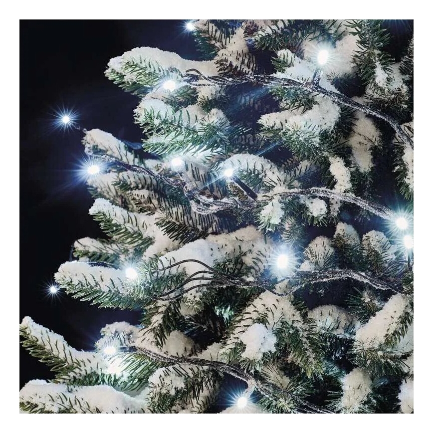 LED vanjski svjetlosni niz 50xLED/5m IP44 hladno bijela