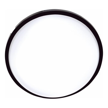 LED Vanjsko stropno svjetlo DARA LED/20W/230V IP65 crna